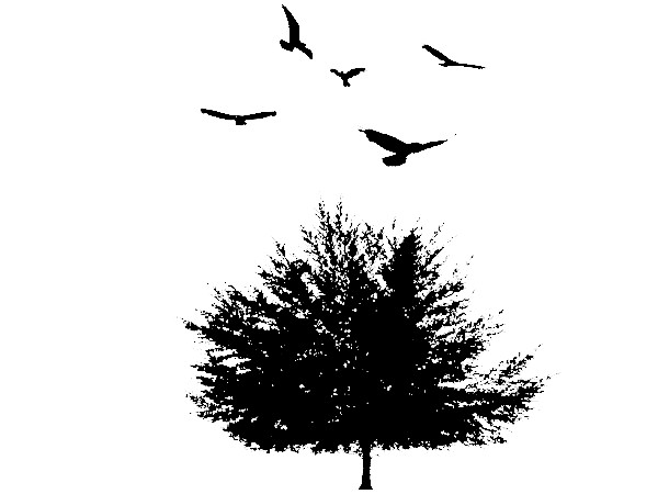 Ravens Nest
